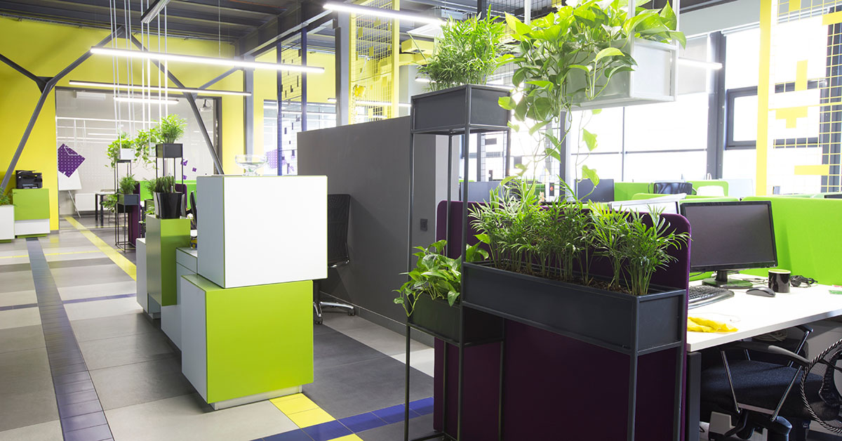 Are green offices the future?