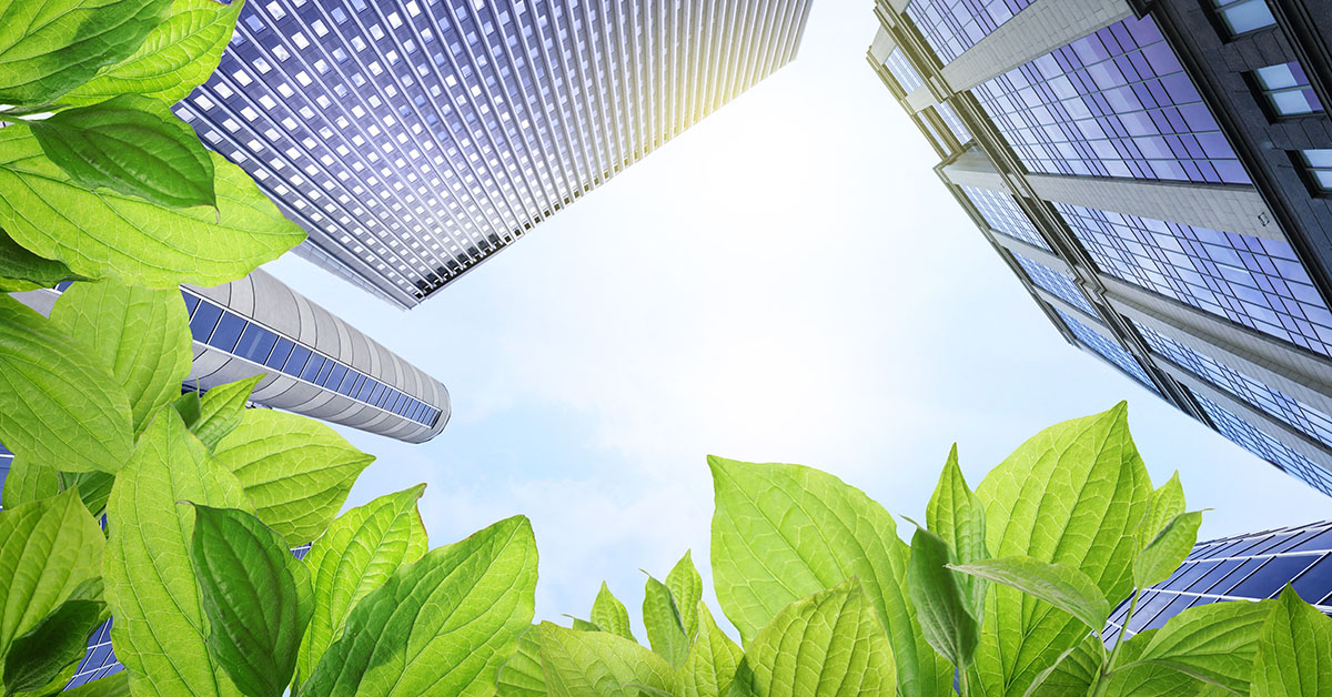 Measuring What Matters: Climate Metrics in Real Estate Investment Decision-Making